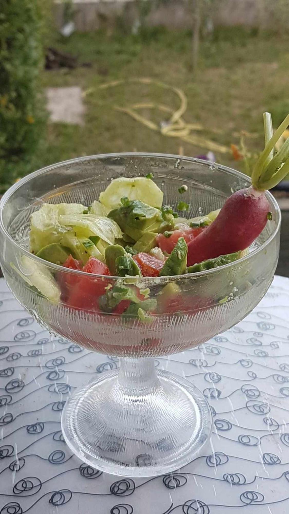 Le Clos Du Cedre Saint Sebastien d'Aigrefeuille 외부 사진